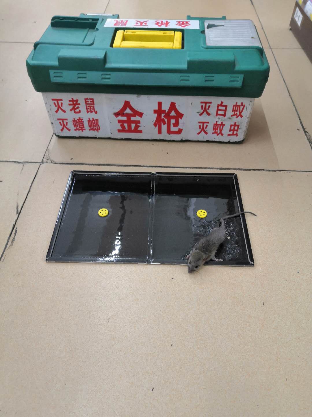 \